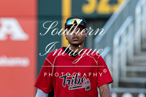 u35 Tribe vs Sharks-1851277622027