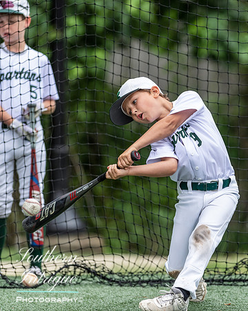 Mountain Brook vs Homewood Youth Baseball U8-20220602164115002