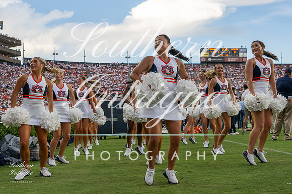 Auburn Tiger Paws vs Mercer 2022 hrwm-202209031828596773051