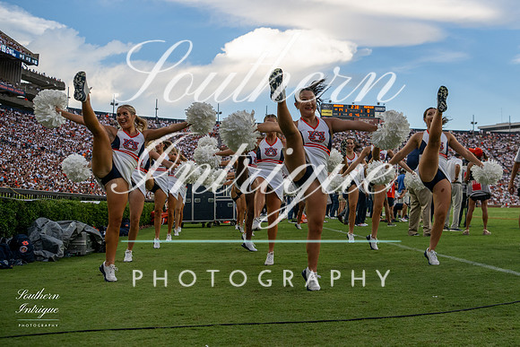Auburn Tiger Paws vs Mercer 2022 hrwm-202209031828546732045