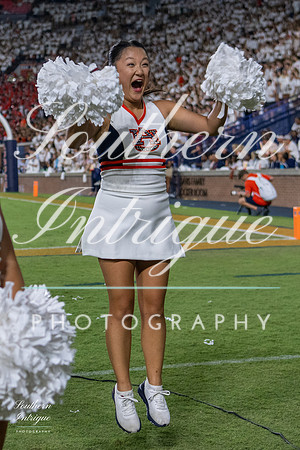 Auburn Tiger Paws vs Mercer 2022 hrwm-202209032002588222065