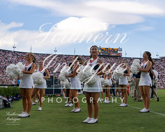 Auburn Tiger Paws vs Mercer 2022 hrwm-202209031828326695037