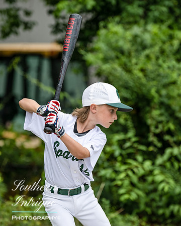 Mountain Brook vs Homewood Youth Baseball U8-20220602164656012