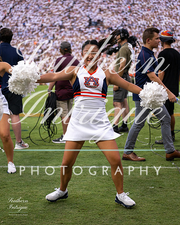Auburn Tiger Paws vs Mercer 2022 hrwm-202209031815396264032