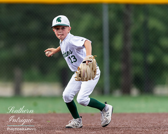 Mountain Brook vs Homewood Youth Baseball U8-20220602164758016