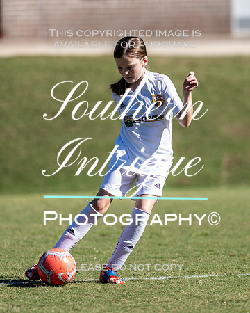 Vestavia Hills Soccer Club Girls 13U hrnwm-002202110231422562753