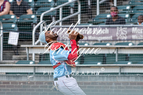 u35 Tribe vs Sharks-1907177900056