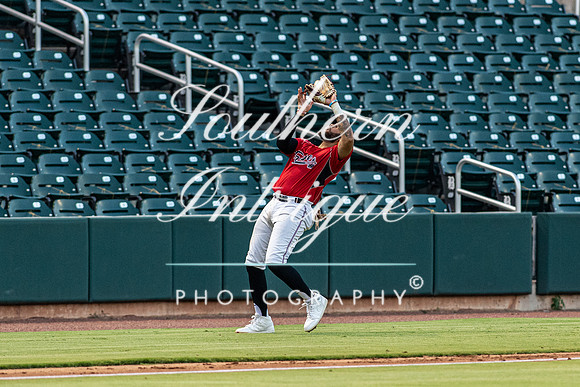 u35 Tribe vs Sharks-1934198564142