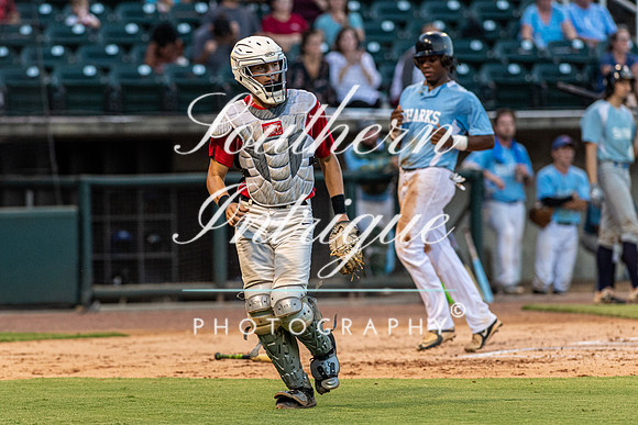 u35 Tribe vs Sharks-1936158647147