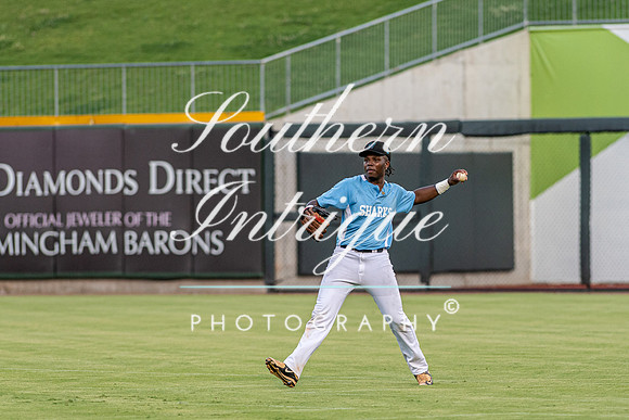 u35 Tribe vs Sharks-1920468280103