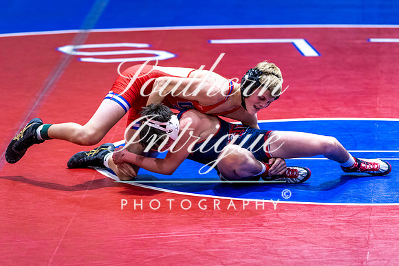 Vestavia Wrestling Oak Mountain Dual-20201217185111021