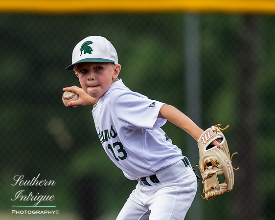 Mountain Brook vs Homewood Youth Baseball U8-20220602164758017
