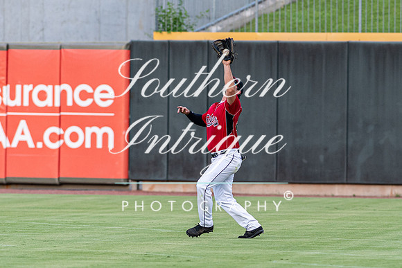 u35 Tribe vs Sharks-1911488040071