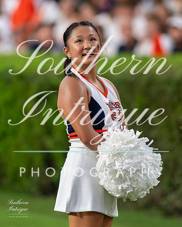 Auburn Tiger Paws vs Mercer 2022 hrwm-202209031856183991056