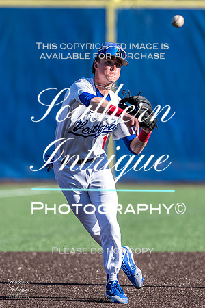 VHHS Varsity Baseball vs Austin Sr Night HRWM-00820220310163135D06_7645-Edit