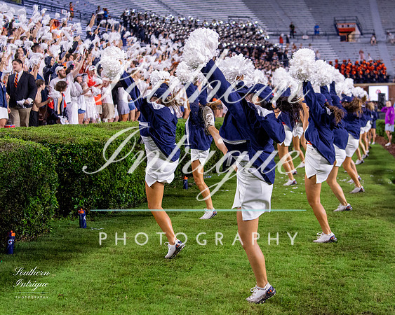 Auburn Tiger Paws vs Mercer 2022 hrwm-202209032216104389073