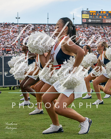 Auburn Tiger Paws vs Mercer 2022 hrwm-202209031828586755048