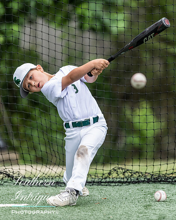 Mountain Brook vs Homewood Youth Baseball U8-20220602164115003
