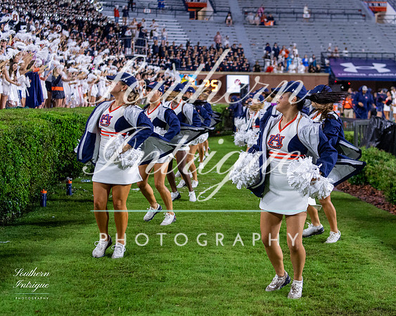 Auburn Tiger Paws vs Mercer 2022 hrwm-202209032215574383072