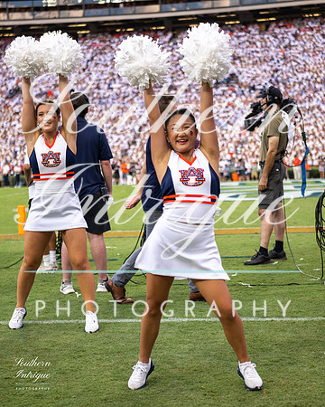 Auburn Tiger Paws vs Mercer 2022 hrwm-202209031815386260031