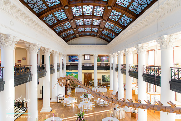 Reception Near Final-165523NIKON D8500019of 0150